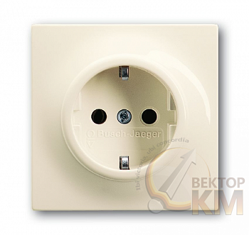 Розетка 1-м СП 1мод. Impuls 16А IP21 250В 2P+E защ. шторки сл. кость ABB 2CKA002013A5274