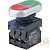 Кнопка двойная NP8-11SD 1НО+1НЗ желт. AC 110В-220В(LED) IP65 (R) CHINT 667175