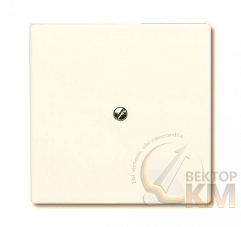 Заглушка с суппортом (IP44) Allwetter 44 сл. кость ABB 2CKA001710A2264