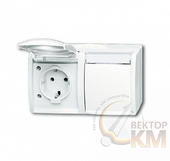 Розетка 2-м ОП Ocean 16А IP44 горизонт. 250В Schuko с полем для надписи альп. бел. ABB 2CKA002084A0715