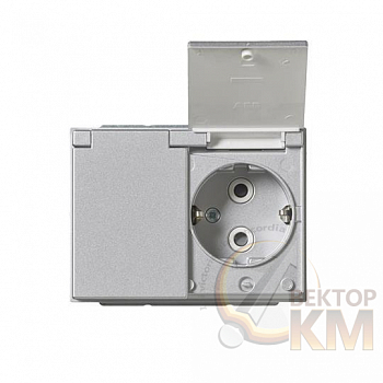 Розетка 2-м СП Impressivo 16А IP21/44 230В Double Schuko защ. крышка алюм. ABB 2TKA00003032