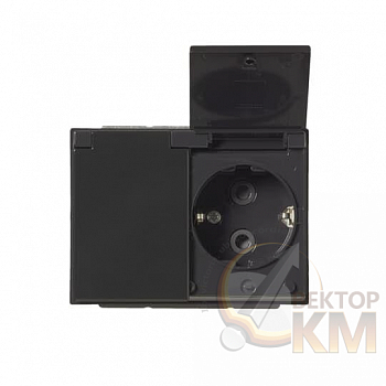 Розетка 2-м СП Impressivo 16А IP21/44 230В Double Schuko защ. крышка антрацит ABB 2TKA00003031