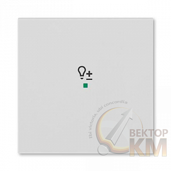 Клавиша Levit одинарная с символом светорегулятора free@home сер. ABB 2CHH621004A4016