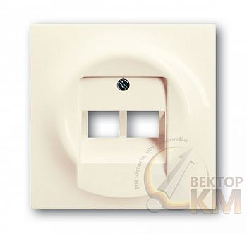 Накладка розетки инф. 2-м Impuls сл. кость ABB 2CKA001753A0083