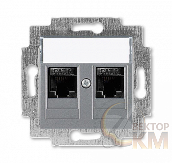 Розетка информационная Levit двойная 2хRJ45 кат. 6 сталь ABB 2CHH296118A6069