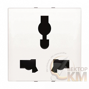 Механизм розетки 1-м СП 2мод. Zenit 13А IP21 127-230В универс. 2P+E с заземл. серебр. ABB 2CLA223900N1301