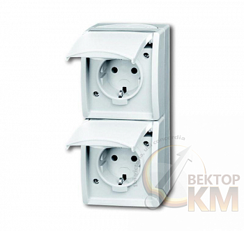 Розетка 2-м ОП Ocean 16А IP44 верт. 250В Schuko альп. бел. ABB 2CKA002084A0710